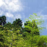 160pixcel�̎ʐ^
