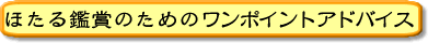 �^�C�g��