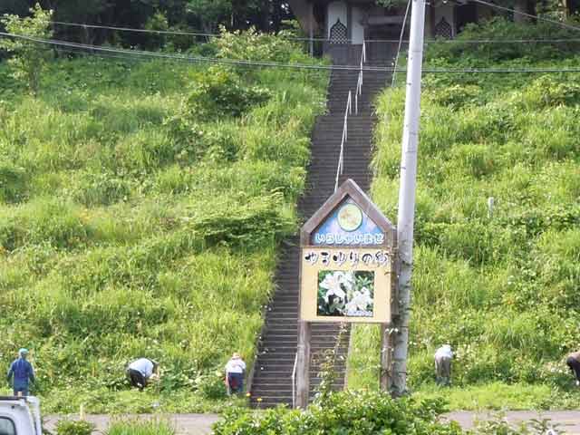 急斜面の草刈