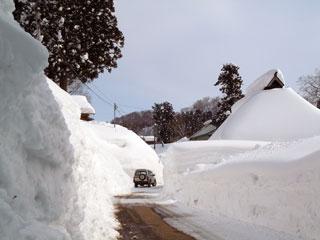 今年の雪